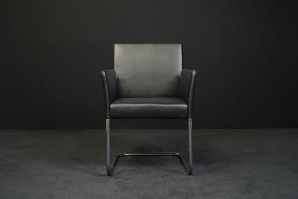 Walter Knoll Freischwinger Jason 1411 Leder Schwarz