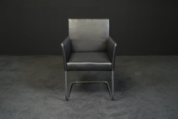 Walter Knoll Freischwinger Jason 1411 Leder Schwarz