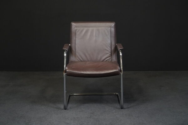 Walter Knoll Freischwinger Leder Braun