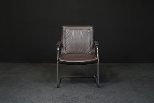 Walter Knoll Freischwinger Leder Braun