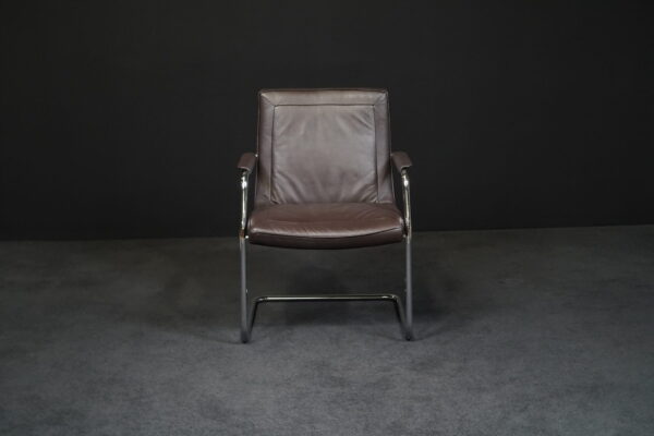 Walter Knoll Freischwinger Leder Braun