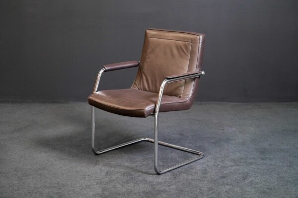 Walter Knoll Freischwinger Leder Braun