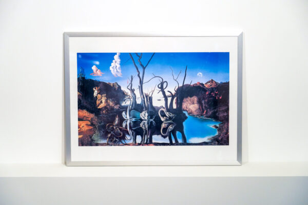 Ingelijste kunstprent "Salvador Dalí - Zwanen spiegelen olifanten"