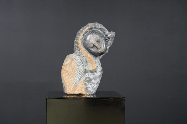 Colleen Madamombe Springstone Statue