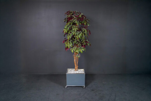 USM Haller bloempot met plant