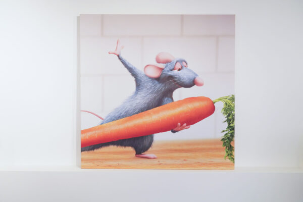 Toile encadrée avec motif ratatouille