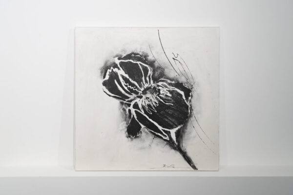 Paintings on canvas
